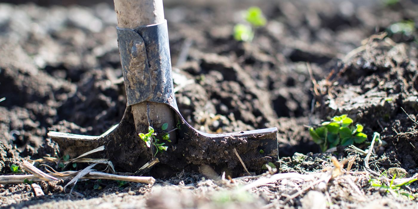 Shovel in dirt