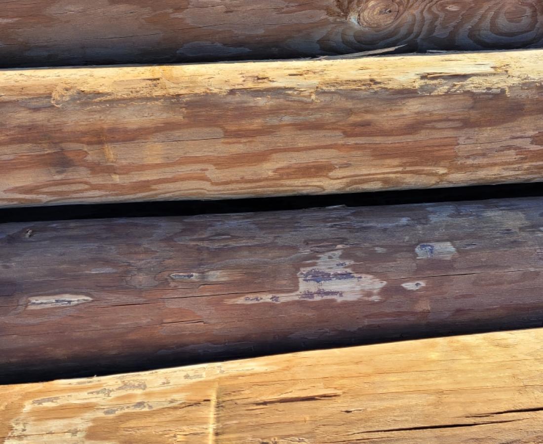 Stacked Wooden Poles